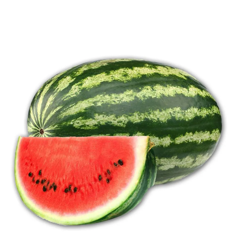 Patilla
